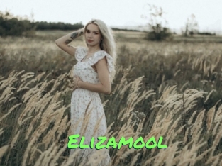 Elizamool