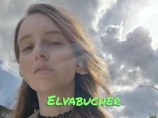 Elvabucher