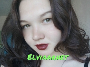 Elviaarnet