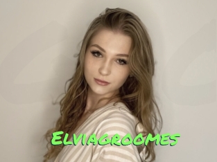 Elviagroomes