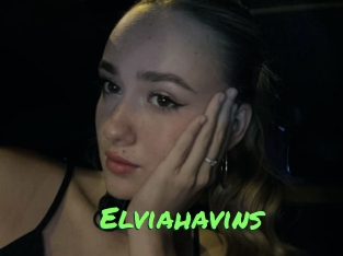 Elviahavins