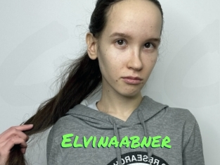 Elvinaabner