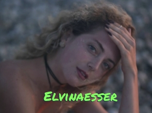 Elvinaesser