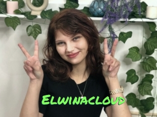 Elwinacloud