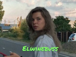 Elwinebuss