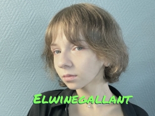 Elwinegallant