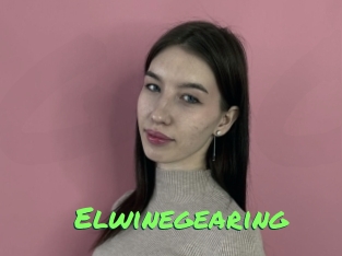 Elwinegearing