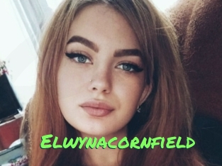 Elwynacornfield