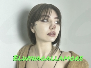 Elwynagallamore