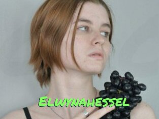 Elwynahessel