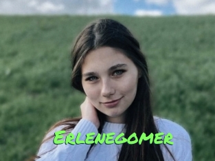 Erlenegomer