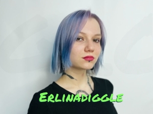 Erlinadiggle