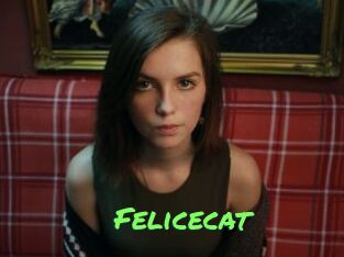 Felicecat