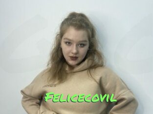 Felicecovil