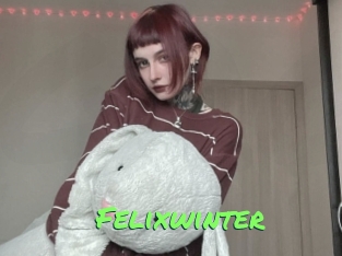 Felixwinter