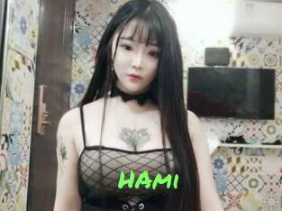 HAmi