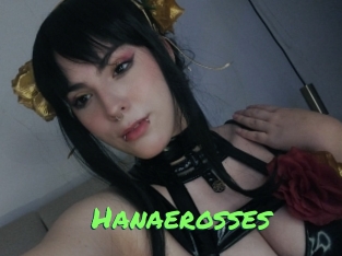 Hanaerosses