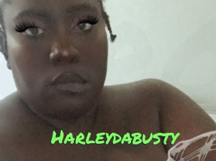 Harleydabusty