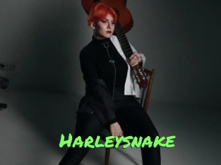 Harleysnake