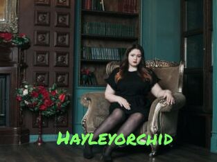 Hayleyorchid