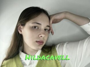 Hildacavell