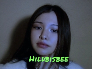 Hildbisbee