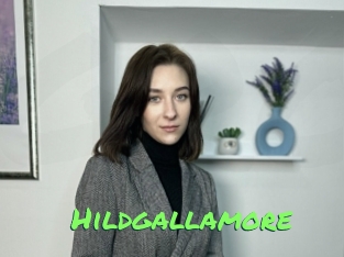 Hildgallamore