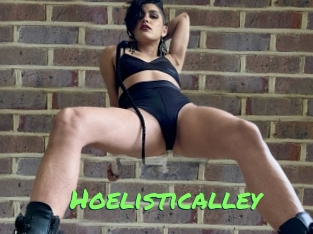 Hoelisticalley