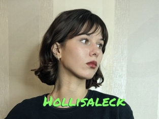 Hollisaleck