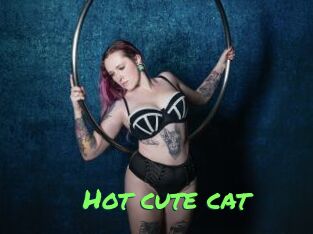 Hot_cute_cat