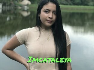 Imcataleya