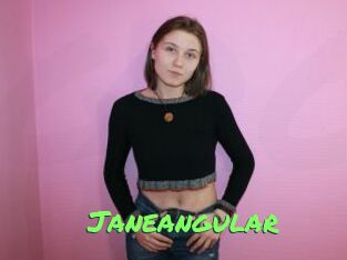 Janeangular