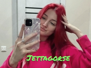 Jettagorse