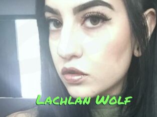 Lachlan_Wolf