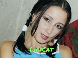 Lily_Cat_