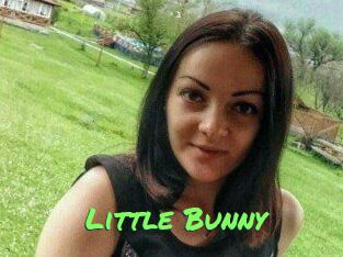 Little_Bunny_