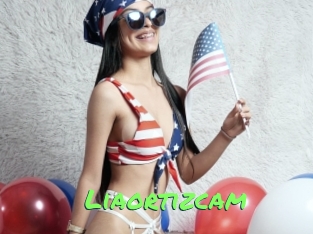 Liaortizcam