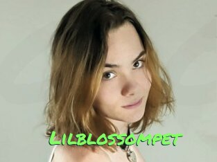 Lilblossompet