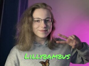 Lillybambus