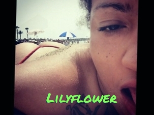 Lilyflower