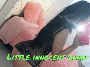 Little_innocent_bunny