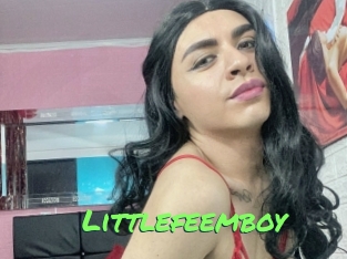 Littlefeemboy