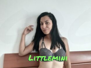 Littlemini