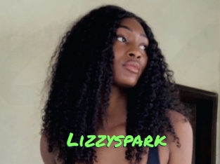 Lizzyspark