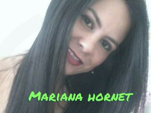 Mariana_hornet