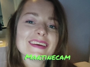 Martinecam