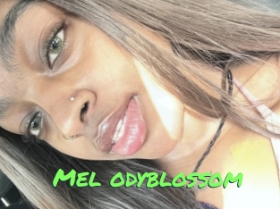 Mel_odyblossom