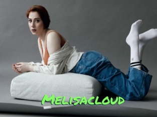 Melisacloud