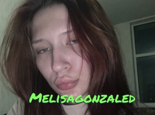 Melisagonzaled