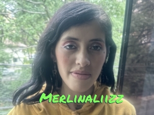 Merlinaliizz